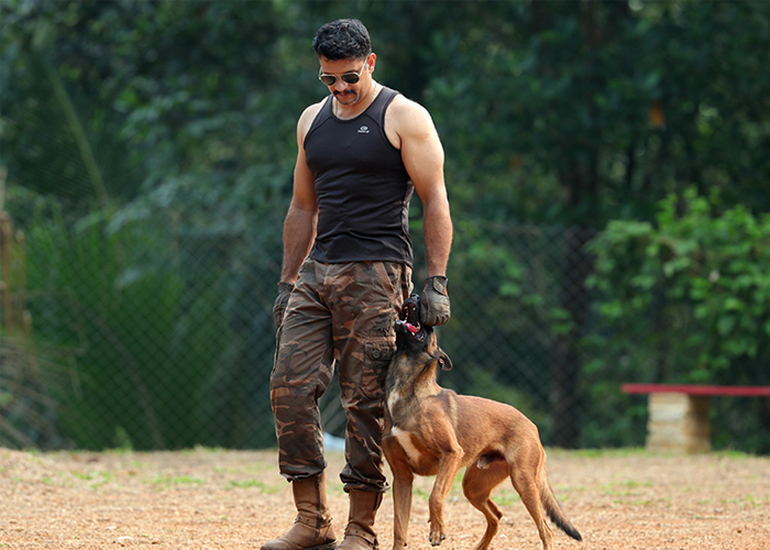 K9 dog hot sale training school